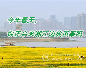 寒雨连：今年春天，你还会来湘江边放风筝吗