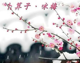 陆游：卜算子·咏梅｜bǔ suàn zǐ·yǒng méi