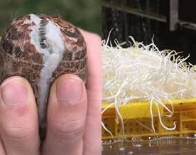 湖南省长沙市2024年中考试题猜想语文试卷，二、阅读，生机