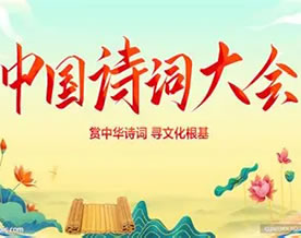 中国诗词大会最新题库（十）